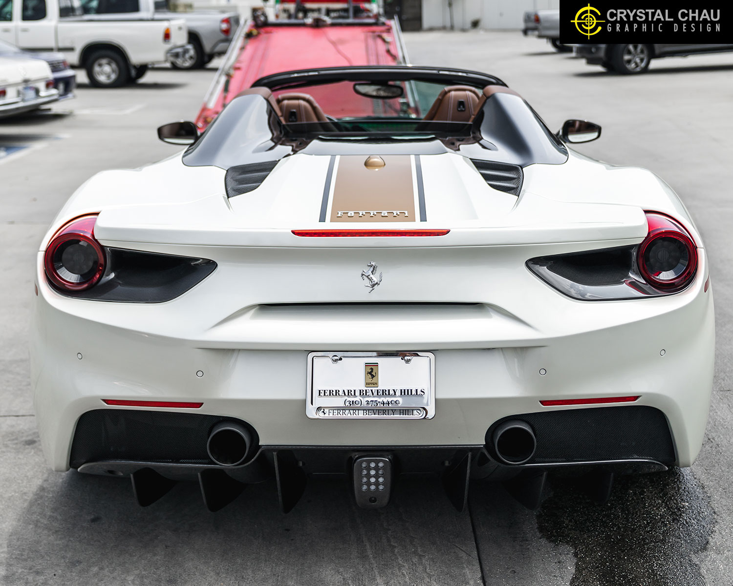 Ferrari 488 Black Bronze Stripe Livery