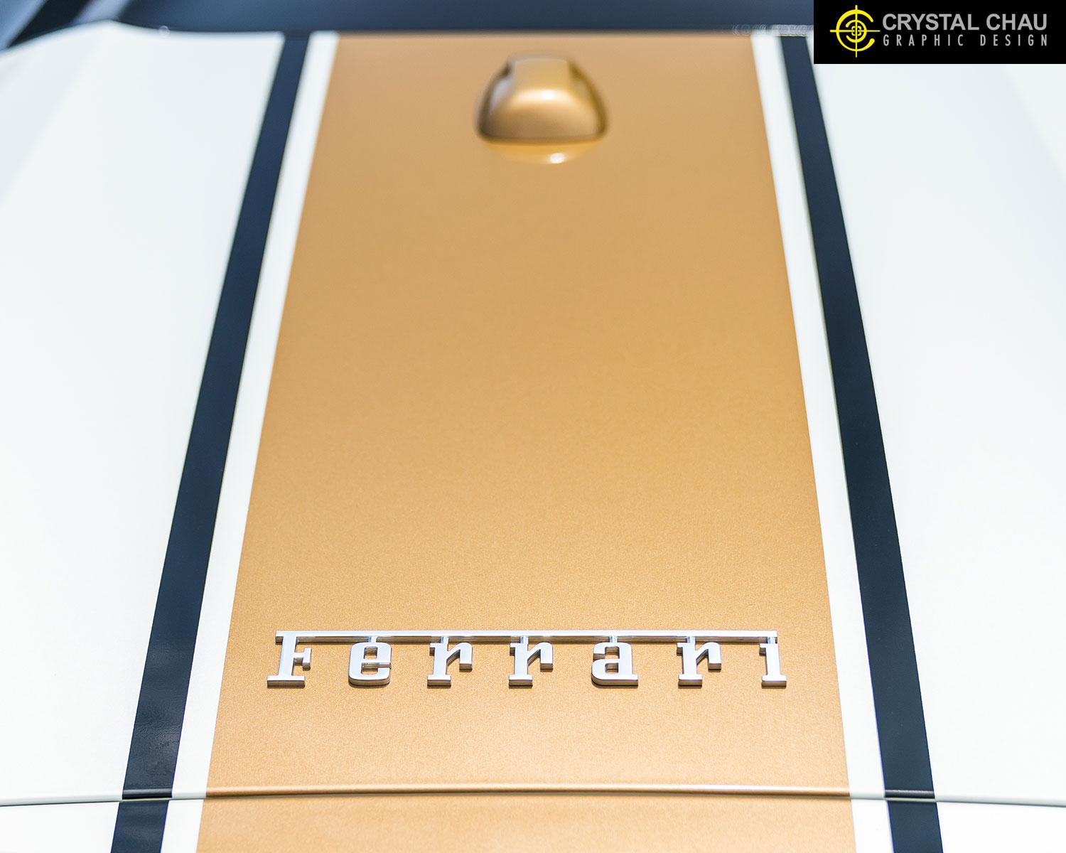 Ferrari 488 Black Bronze Stripe Livery